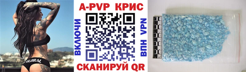 A PVP мука  мориарти телеграм  Игарка 