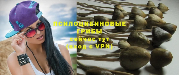круглые Арсеньев